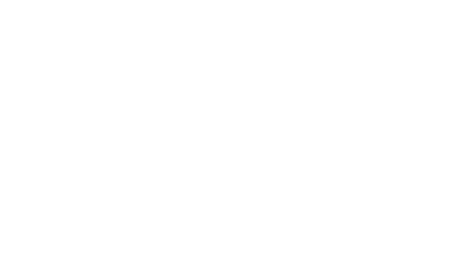 Drone-Diensten-logo-portrait-Diapositief