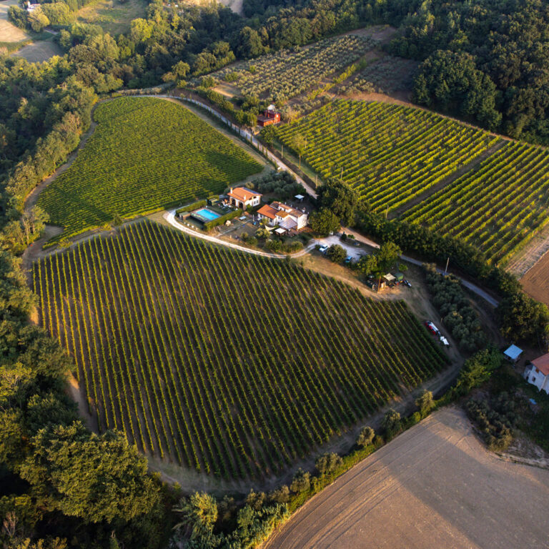 Drone-Diensten-Dronefotografie